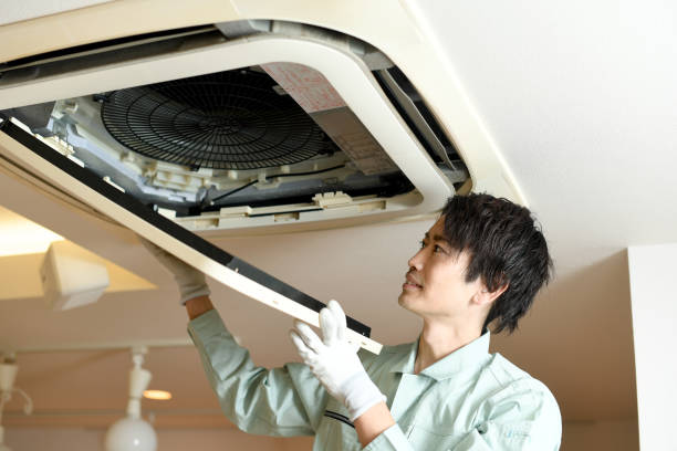 Best Air Duct Mold Removal  in New London, OH
